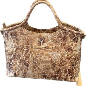 Elaine Camel Safari Melbourne